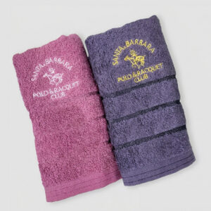 MIT台灣製 聖大保羅 運動毛巾