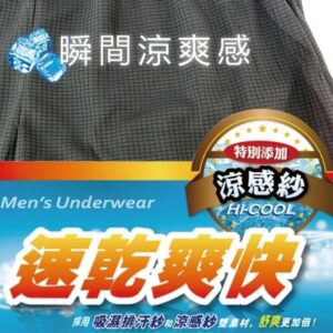 排汗內褲｜MIT台灣製 5L大尺碼 尼克 涼感平口四角褲