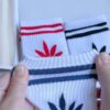 白色中筒襪 | MIT台灣製 精梳棉2/2純棉女襪 細條葉子款 襪子 小腿襪